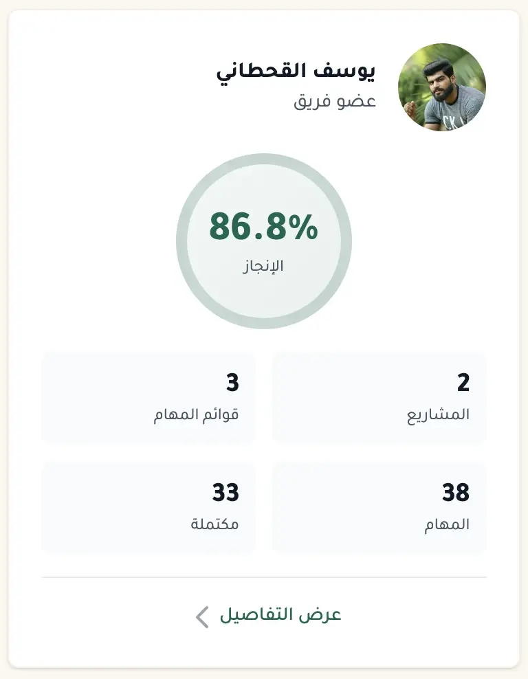 Team member profile - Project and task contributions
